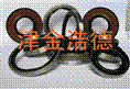 日本NOK  聚四氟乙烯油封 