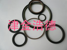 JJHD液压密封件有限公司(斯特封） 