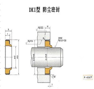 DKI往复运动防尘 