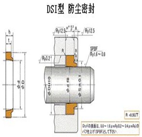 DSI往复运动防尘 