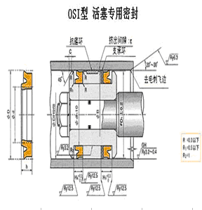 OSI活塞专用密封件 