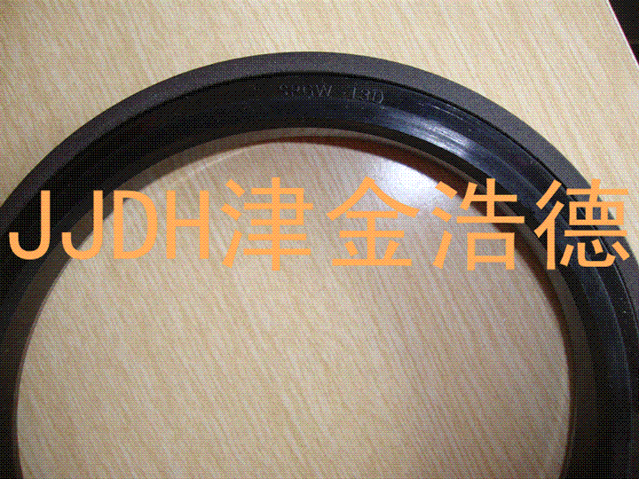 天津代理日本NOK SPGW密封圈 