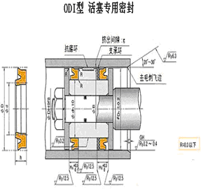 ODI型活塞专用密封 