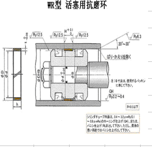 NOK品牌密封圈—WR抗磨环 
