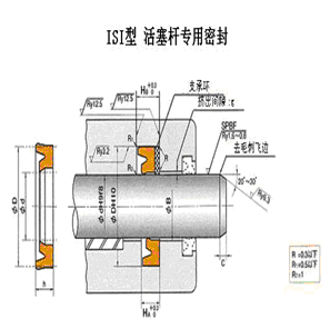 ISI活塞杆专用密封件 