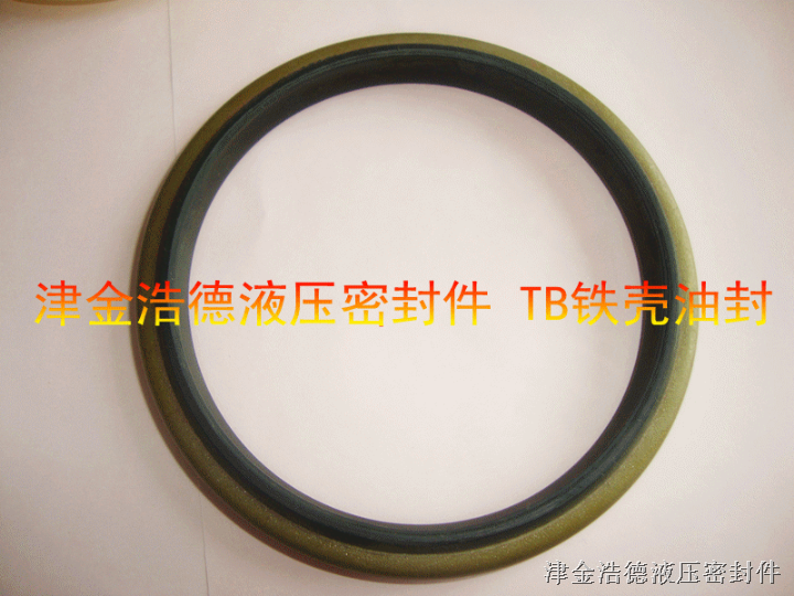 dkb密封件，铁壳防尘，生产厂家津金浩德 