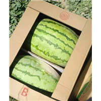 新疆西瓜代办
