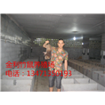 广西竹鼠养殖|桂林金利竹鼠养殖场 