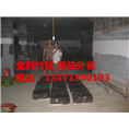 广西竹鼠丨广西竹鼠种苗丨竹鼠的价格 