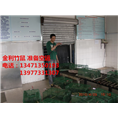 竹鼠养殖|广西竹鼠|桂林竹鼠 
