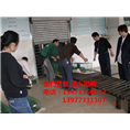 广西竹鼠丨广西竹鼠种苗丨竹鼠成批销售 