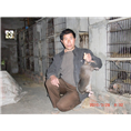 广西竹鼠丨广西竹鼠种苗丨竹鼠的价值 