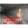 广西竹鼠｜桂林竹鼠种苗 