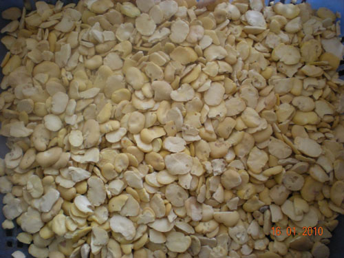 湖北蚕豆批发价格 