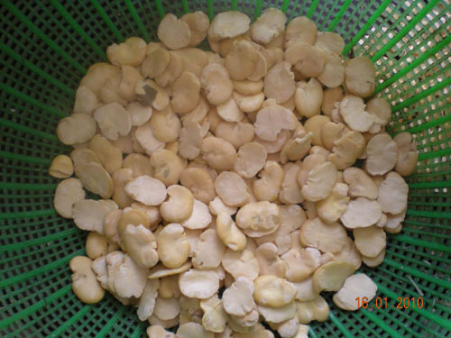 湖北发酵蚕豆瓣加工厂家 