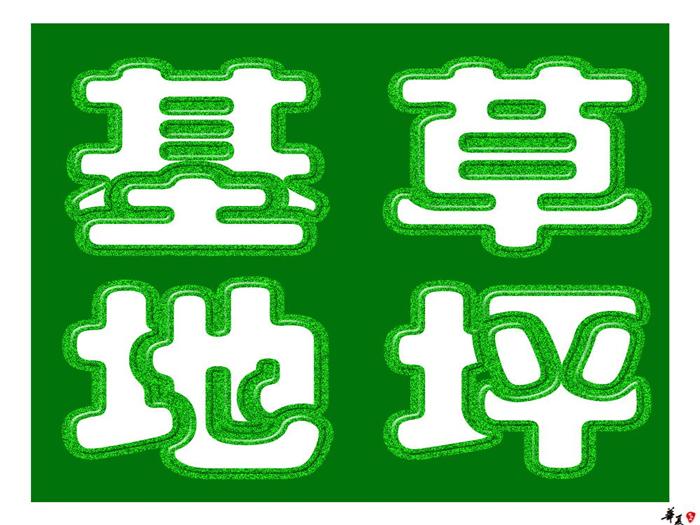 黄山农林生态农庄园艺-黄山农林生态绿化园艺野花浪漫组合 