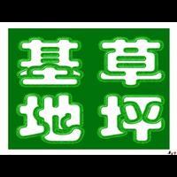 黄山农林生态农庄园艺-黄山农林生态绿化园艺野花浪漫组合 