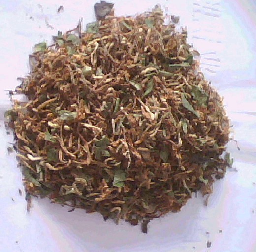 金银花成品-安徽金银花/安徽草坪/黄山草坪00001 