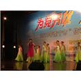 南宁民族歌舞艺术学校贺州玉林贵港百色钦州 