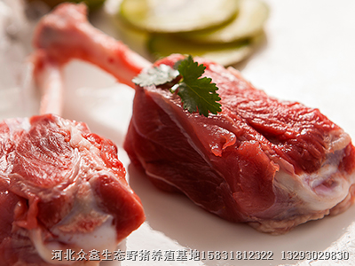 湖北野猪肉|湖北野猪养殖|湖北野猪苗价格 