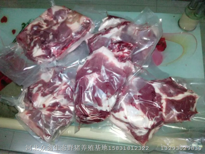 针对聊城野猪肉市场调查发现养殖前景不错 