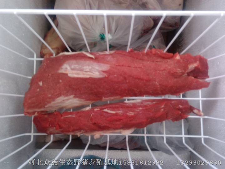 天津野猪肉专卖店热销生态野猪肉营养高 