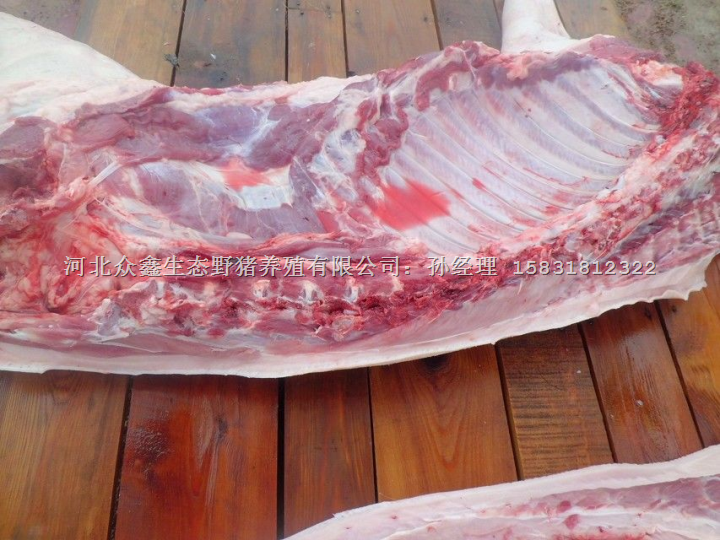 2014年送礼**礼品-就是众鑫生态野猪肉-营养健康美味 