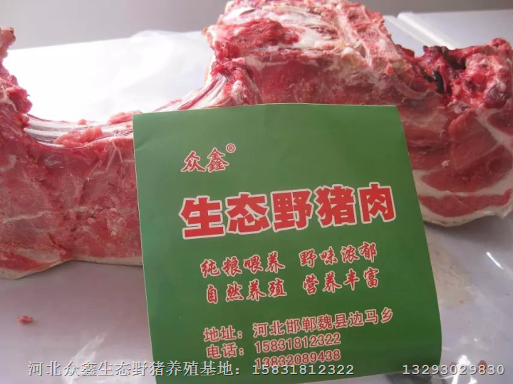 天津生态野猪肉销售、**价格批发 