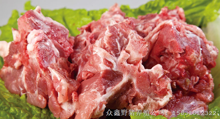 野猪肉批发基地出售野猪肉价格及野猪肉礼品盒 