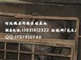 江苏野猪养殖行情 安徽纯种野猪养殖 四川野猪养殖基地