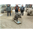 野猪养殖技术哪里**就到河北众鑫生态野猪养殖基地 
