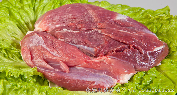 河南野猪肉！山西野猪肉！山东野猪肉价格 