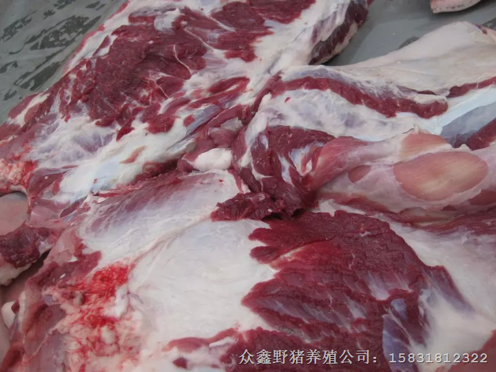 重庆野猪肉 上海野猪肉 贵州野猪肉价格 