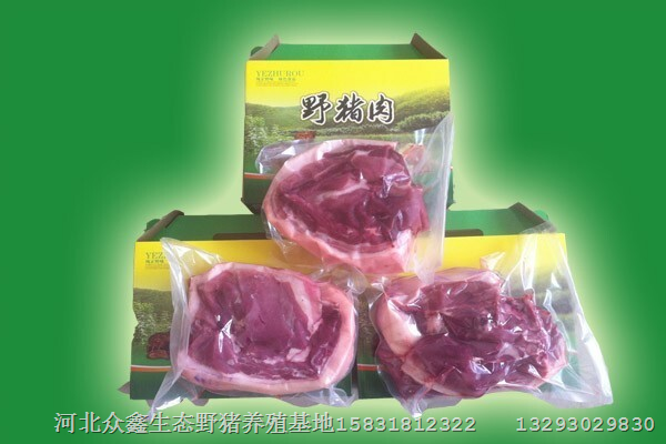 濮阳散养的野猪肉质鲜红细嫩、口感好有嚼劲 