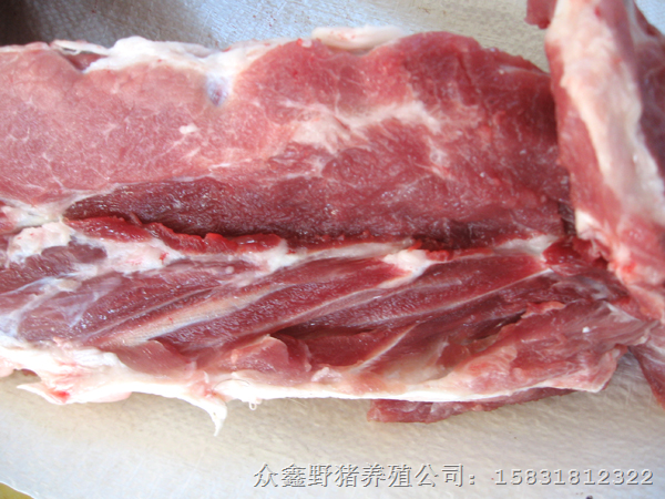 野猪肉专卖店 河南山西山东野猪肉农家乐成时尚 
