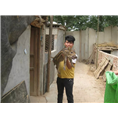 吉林野猪养殖宁夏野猪肉新疆小野猪苗批发 
