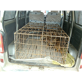 石家庄野猪养殖基地常年出售各种大小野猪及野猪肉 