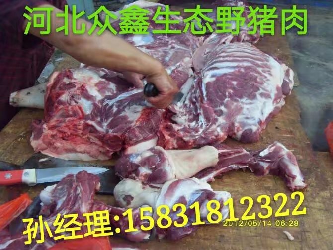 目前市场上野猪肉价格多少钱一斤  正宗野猪肉价格多少钱一斤 