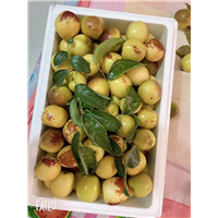 陕西渭南冬枣批发