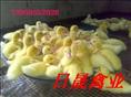 番鸭苗+***福建番鸭苗♀福建番鸭苗♀福建番鸭苗 