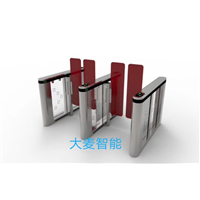 巢湖摆闸厂家