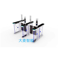 巢湖摆闸厂