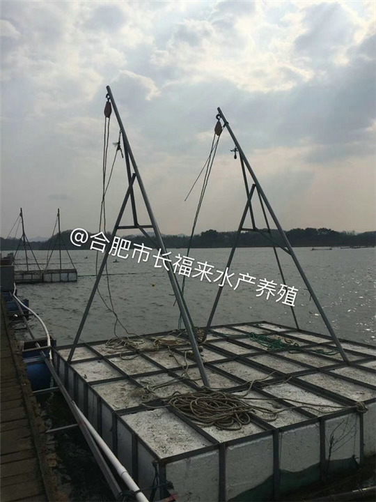 水库养殖基地实景拍摄 