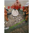 安徽鱼苗批发 
