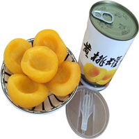黑龙江苹果罐头 