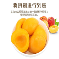 河北水果罐头 