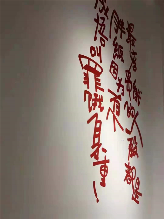 深圳舒歆墙绘作品