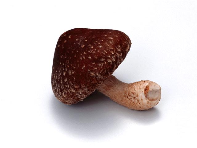 广交会摊位定购联系康琼 13710774537 