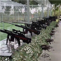 鹿泉射击**游乐设备厂家气炮枪 