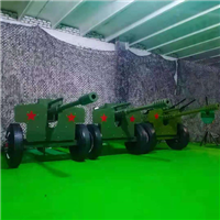 新款**游乐设备枪林弹雨气炮枪 